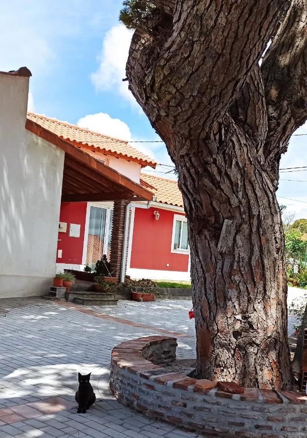 Casa De Campo A 5 Minutos Da Praia アトウギア・ダ・バレイア エクステリア 写真